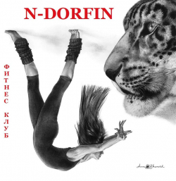 N-DORFIN - Тренажерные залы