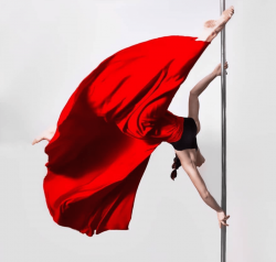 Pole berry - студия танца на пилоне в Днепре - Днепр, Aerial silks, Pole dance, Pole Sport, Хореография